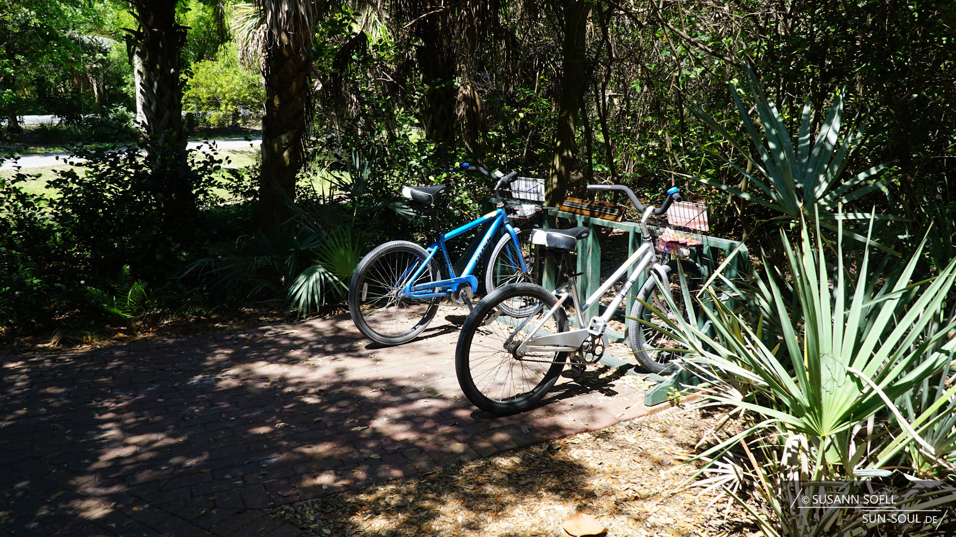 Zwei Fahrräder, eines blau und eines weiß, stehen an einem Fahrradständer auf einem gepflasterten Bereich. Beide Räder haben vorne Körbe. Die Szene liegt im Schatten dichter Bäume und Sträucher, durch deren Blätter gefiltertes Sonnenlicht auf den Boden fällt. Der Hintergrund besteht aus üppigem Grün.